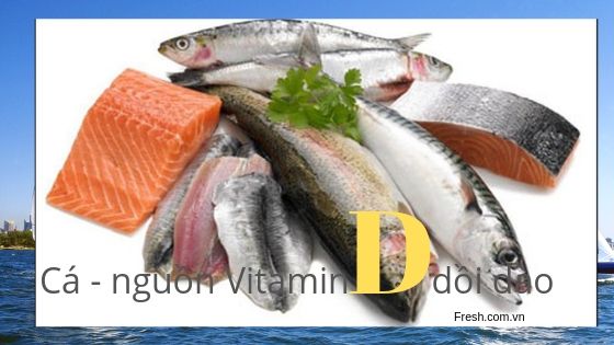 các loại cá béo - nguồn cung cấp vitamin D dồi dào